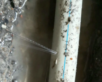 新邱卫生间测漏水多少钱