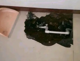 新邱卫生间测漏水多少钱