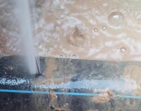 新邱卫生间防水哪家好